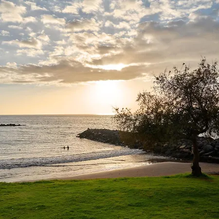 Flores 46 * Плайя-Фаньябе