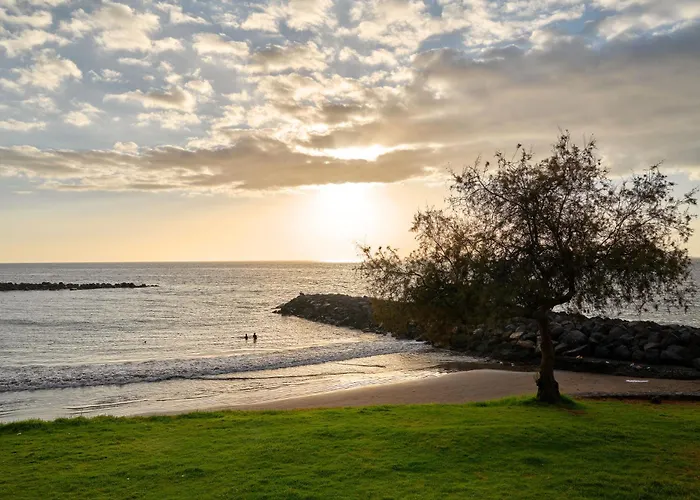 Flores 46 * Playa Feñabe